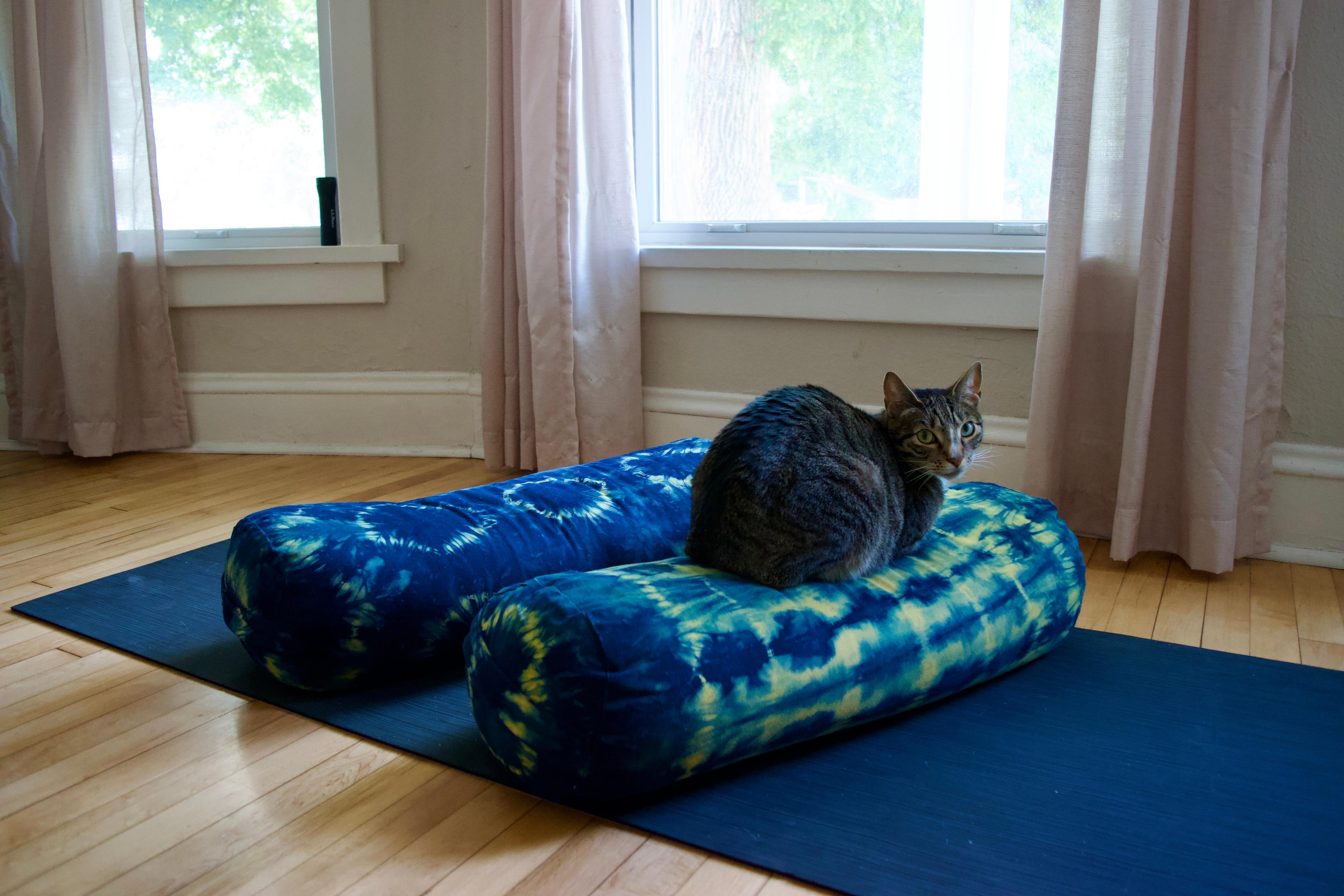 Two yoga bolsters on a black yoga mat with a brown tabby cat perched on one of them. One has a grid pattern and the other has a circle pattern. The base is dark blue with yellow patterning.