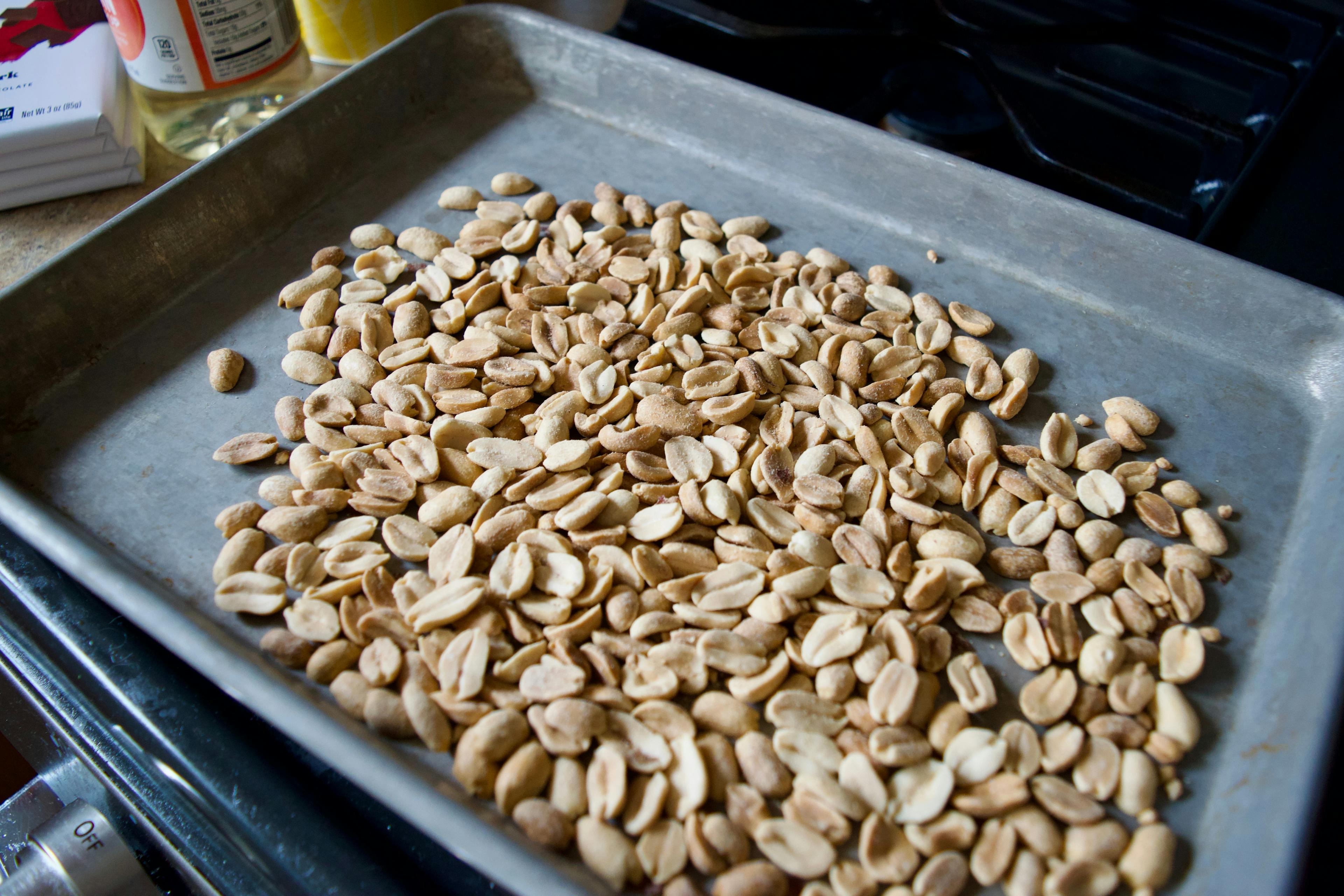 Toasted peanuts on a sheet tray