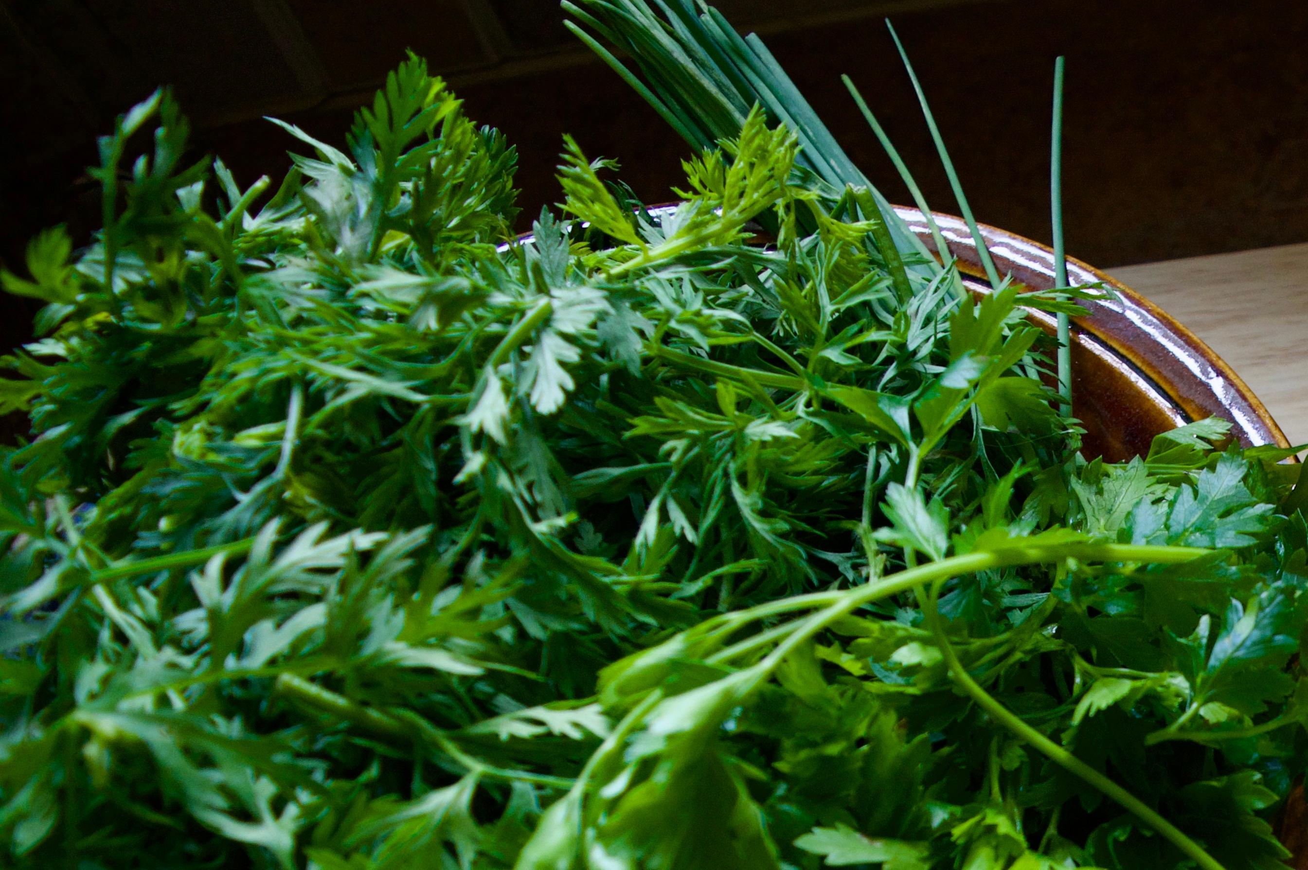 A bowl of herbs